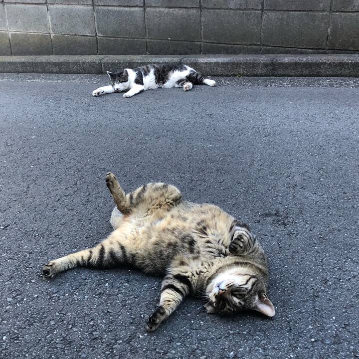 4967429b 4b60 44c0 a632 cb589c5a816d 1530315409452