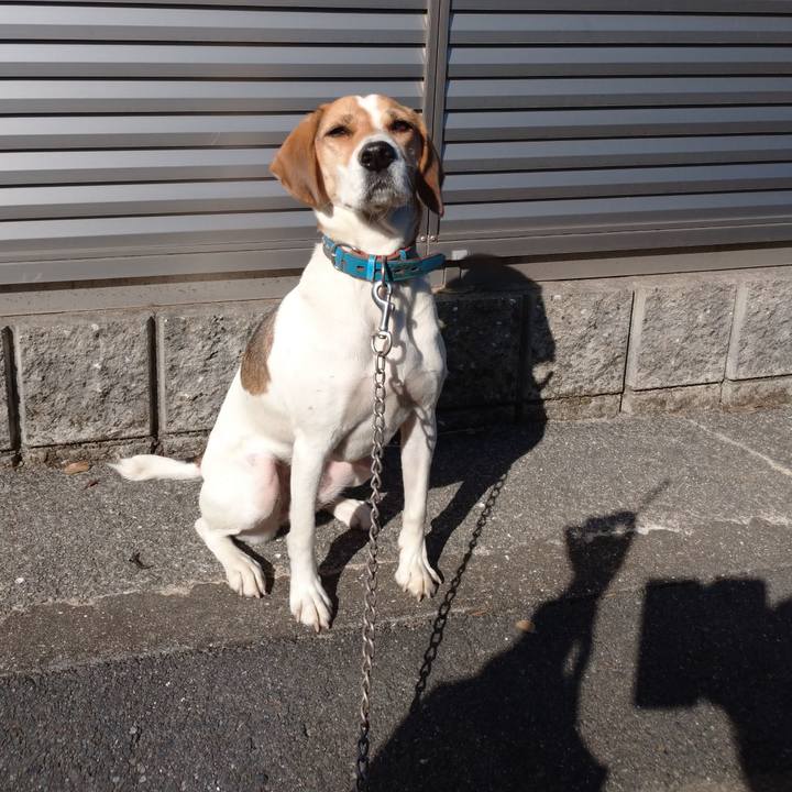 4967703a 8168 42fb 9d51 9286297aadbd 1604382956398