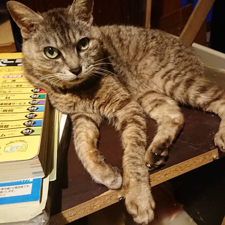 496798c0 989d 4cec ae29 8ade5ff81871 1564136572573