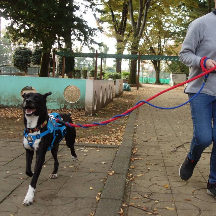 4967d5eb 47f4 46ab 8bd0 ea622cd4d5f3 1604620351904