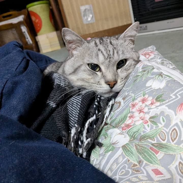 4967d661 a8c3 4e9c b9b4 a643eb5abf8d 1769792271521