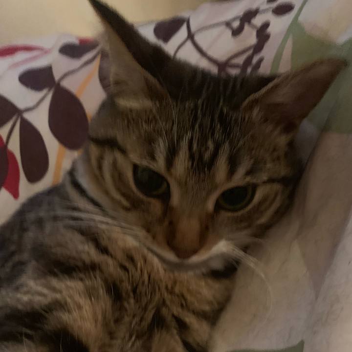 4967e7a9 e4e6 48aa 9646 7e16e44dafa2 1556153496271