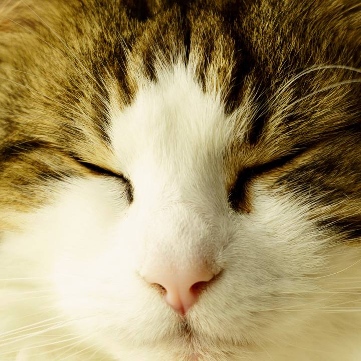 49681083 5dd1 4d1a 8f86 10adfa7d089a 1650285178100