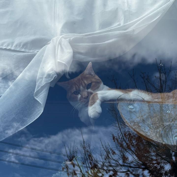 49681d81 29ac 4285 bde4 e1dc7523e7cf 1731757360436