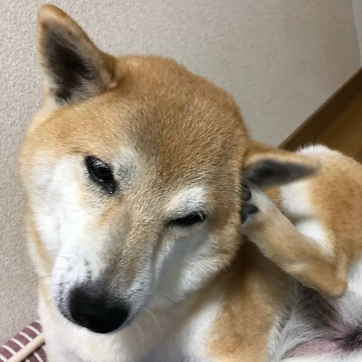 496886e6 c7b0 4341 936b 64cd84a3e6b4 1569039107204