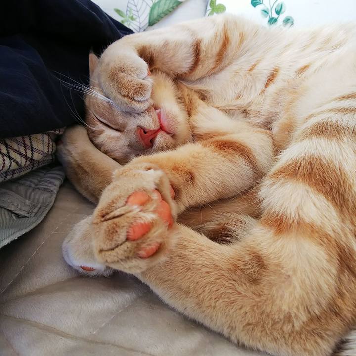 4968e5ec fc8f 48dd aaf1 3ce85748cbad 1557553866882