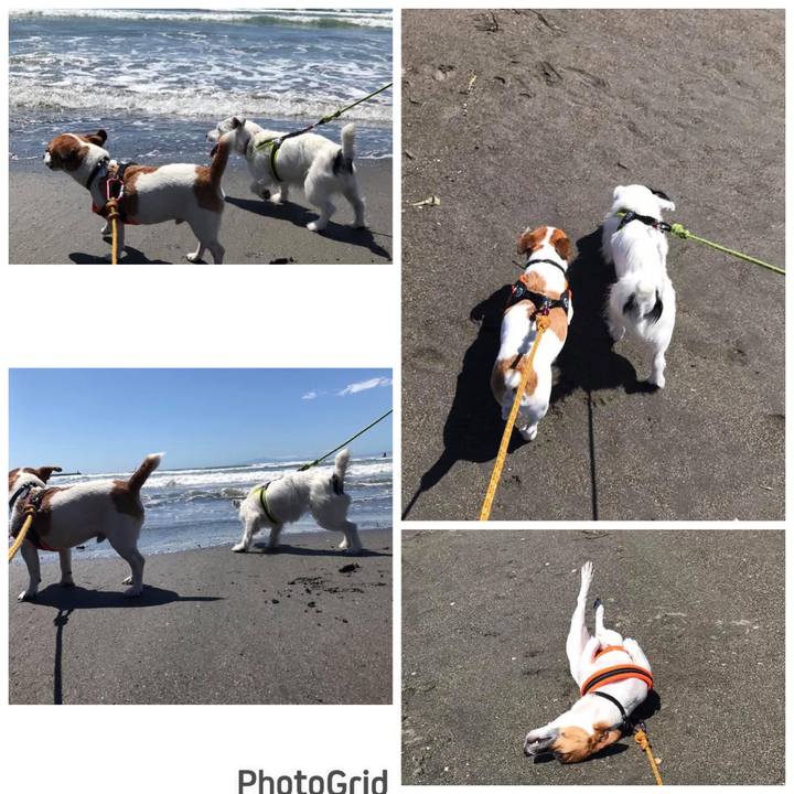 496907ac b217 4691 ab4a 653dbe5bcae0 1695038786796