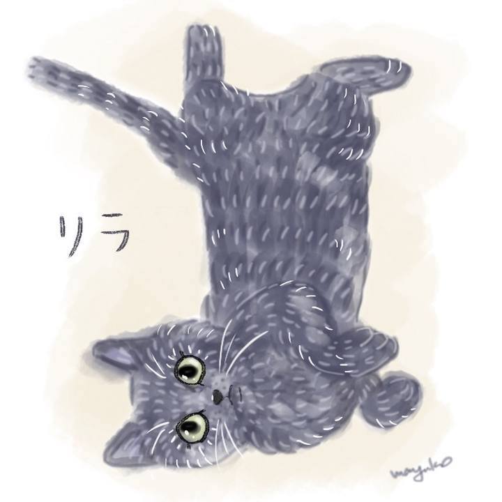 4969203e ba74 4db5 9eab 276a710b3019 1571874041384