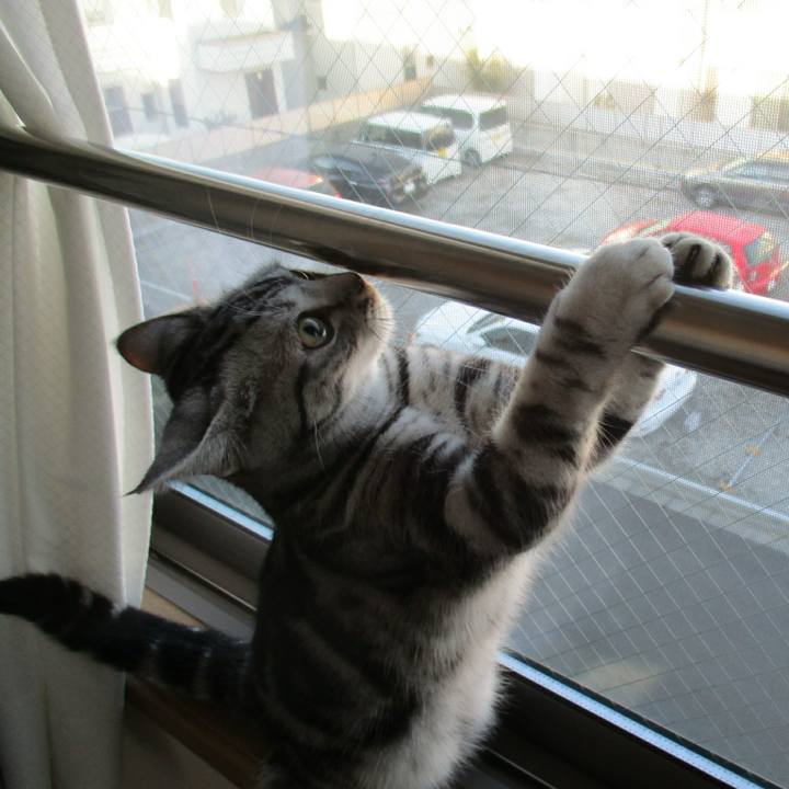 49693b27 faeb 4aa7 9beb 5f3f1213890a 1549153686312