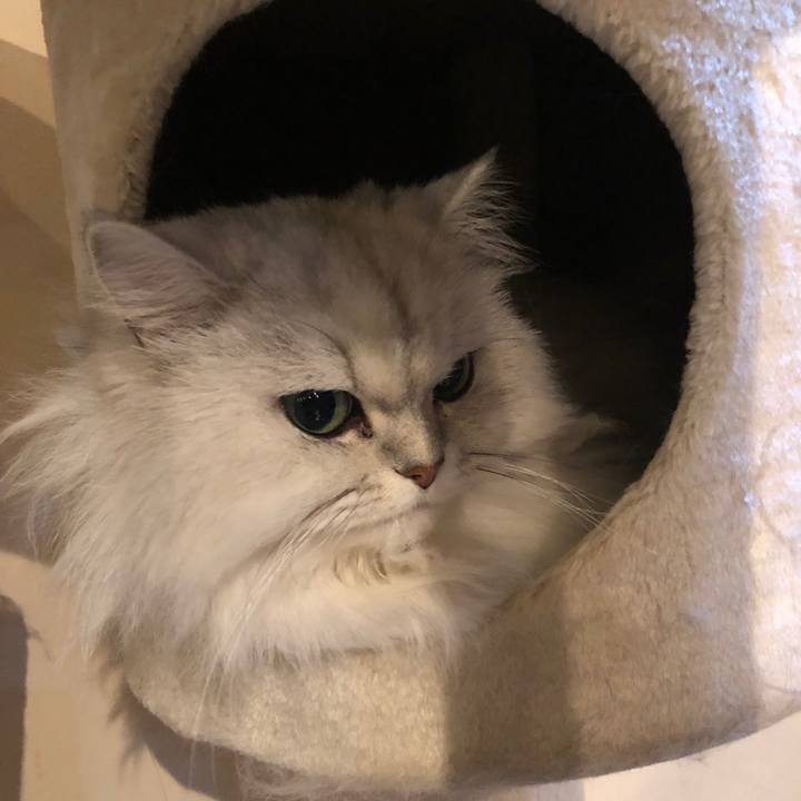 496956c9 2ea6 4cf2 bb15 90f1e21ab5a7 1582417462794