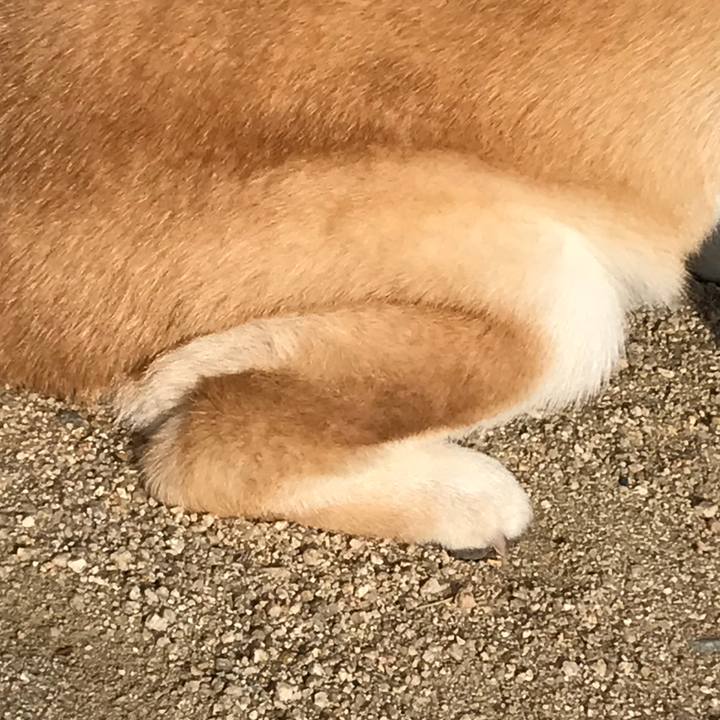 49698944 6e7c 49a8 bf2c 3513e45f37e9 1520930543933