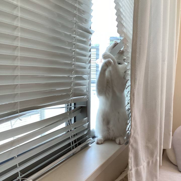 4969d1d9 a749 4dd1 94af 8c907616aaa2 1662342216903