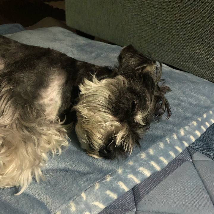 496a1ea9 92ef 4f34 84de 08cc7ea9677e 1687704129304