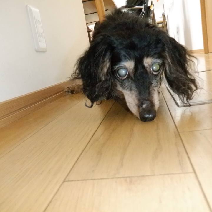 496a7845 fcea 49c0 9d36 4d590338689c 1632964147341