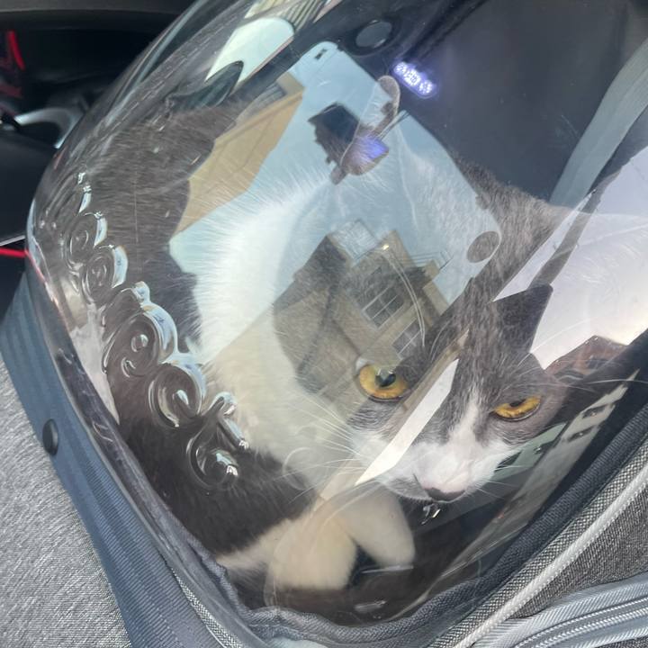 496a9f17 7ac9 4d0f 8919 3fc29d9bb727 1714815204853