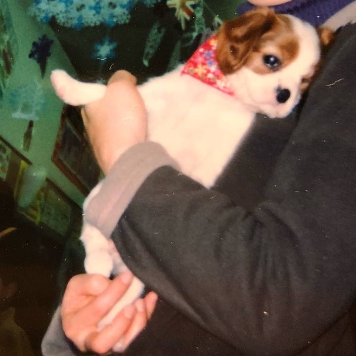 496b063b 7c81 4a5d ae07 183fd2ff9729 1538806049834