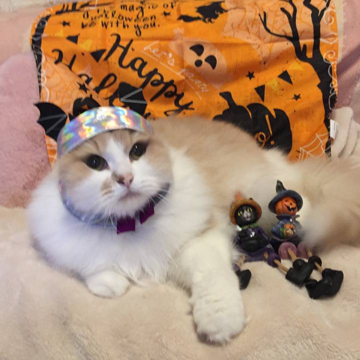 496b0ddd f9b0 45d1 8e6d d4e39d36b3a9 1540390346399