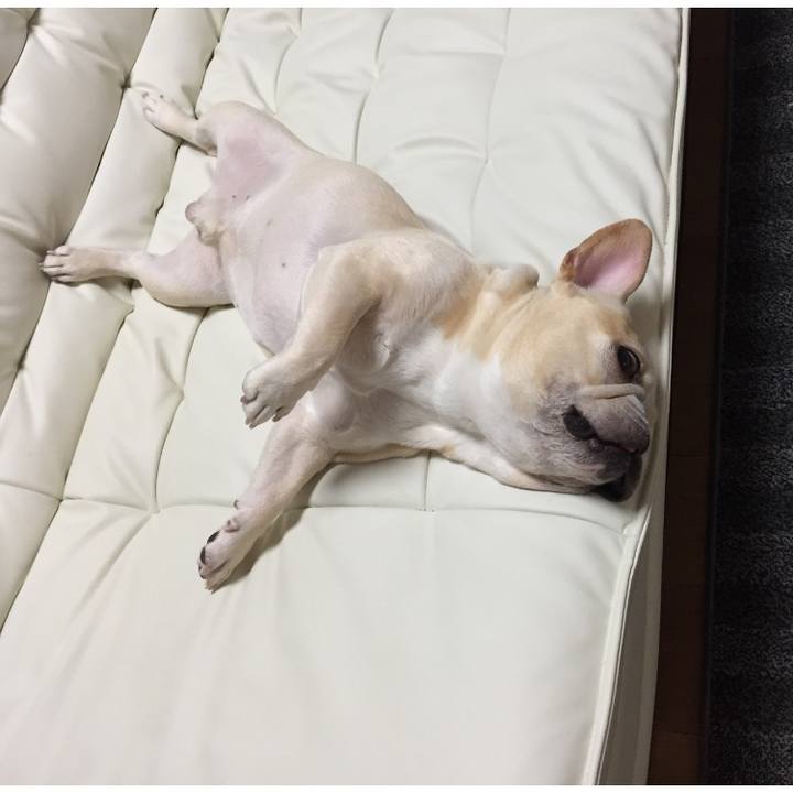 496b5c09 9299 49ff ae07 4f72bb5ef227 1508174294634