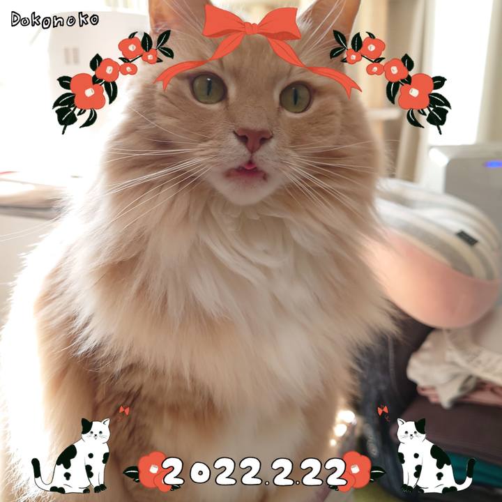 496b5c42 e69e 4a5e a905 0c829add0cda 1645496003102