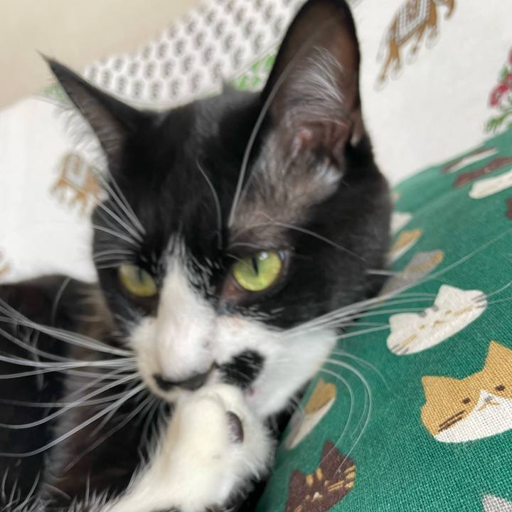 496b86b7 194d 4ca1 a281 0b5f5e7426db 1680311485817