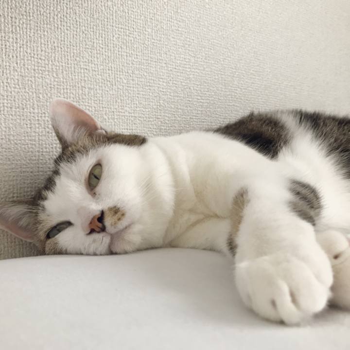 496b89a6 0e99 4126 a197 dfcf8bb7b233 1538891547175