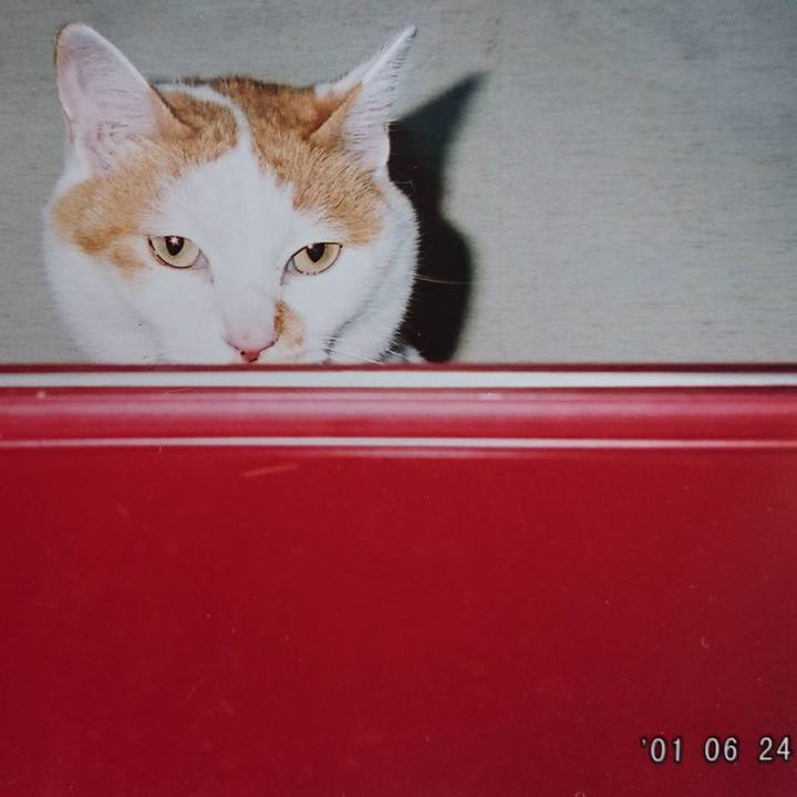 496b9659 a942 41df aec8 26943b71811e 1557380782700