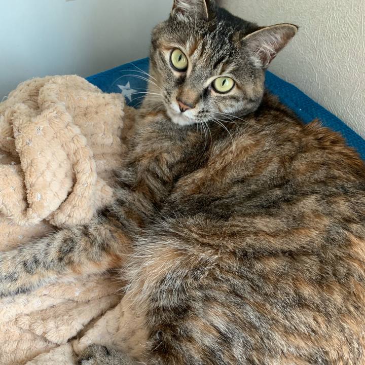 496bde26 8a3e 45fa 880b 71a2803df852 1650509800023