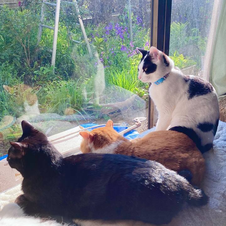 496be8cb 8734 401b bf66 8fd787eb9ca7 1651477275204