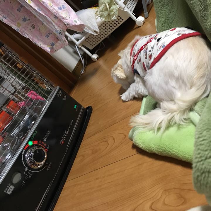 496c3e9d ea7f 4757 9176 4b224972347e 1544589774913