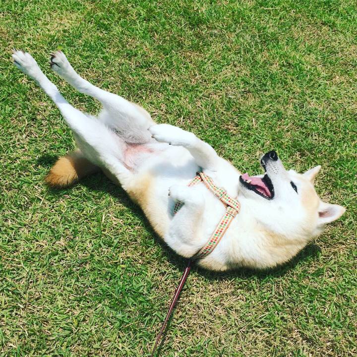 496c5cd7 1e32 4a65 9eee 9b7c5596678b 1591521902964