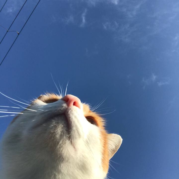 496c70d8 d734 4c35 beac b0964a76d0a7 1510012548174