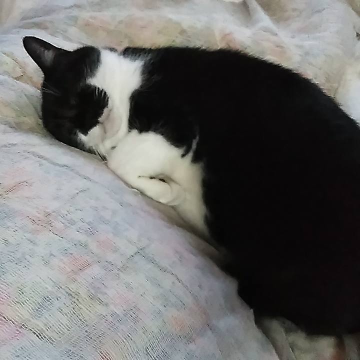 496ca96e 0e2d 447b 9828 e6ec4e3af52b 1575698156505