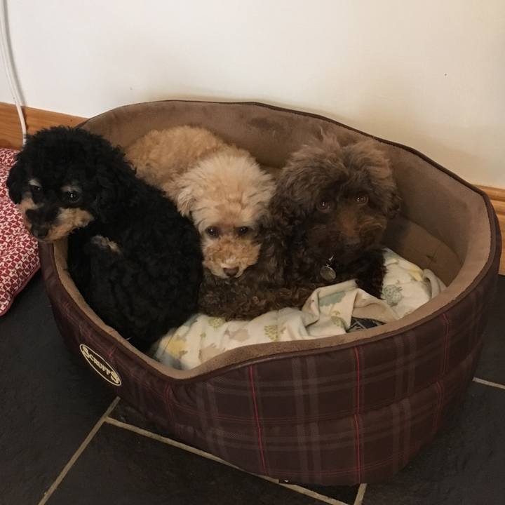 496cb8af 8434 4639 aebc 3e0bc0504c06 1540977957501