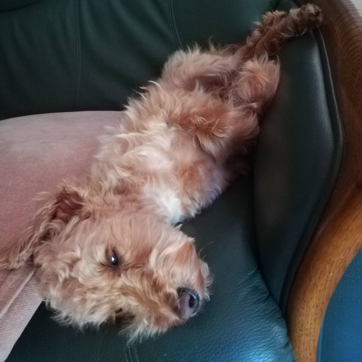 496ccaec 7a8a 416f 9228 9968cec82908 1559352941342