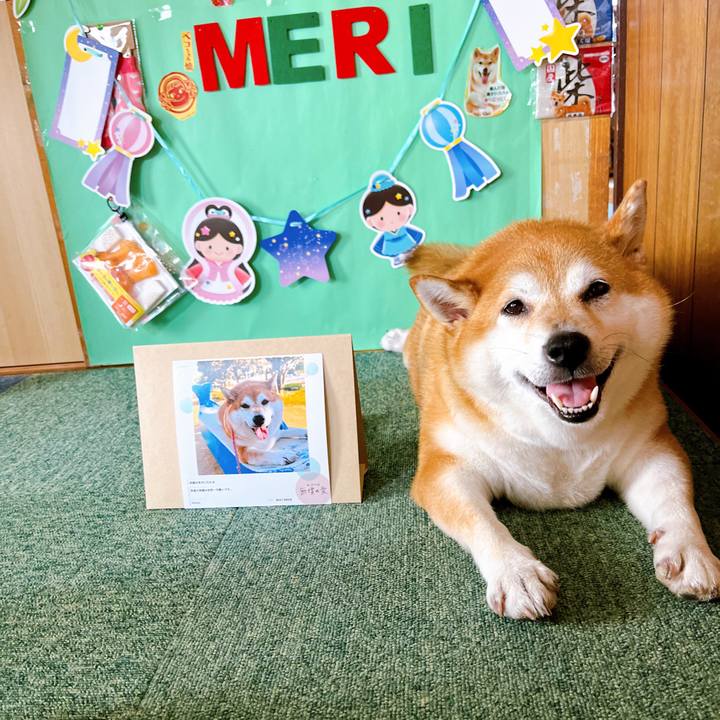 496ce705 6545 4386 8a99 bc85bc5a7186 1657085823911