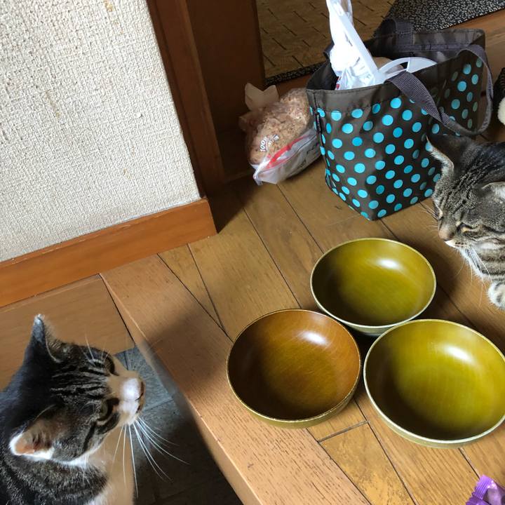 496d0b14 f8ce 4360 9423 3b3a65a62b66 1570540849541