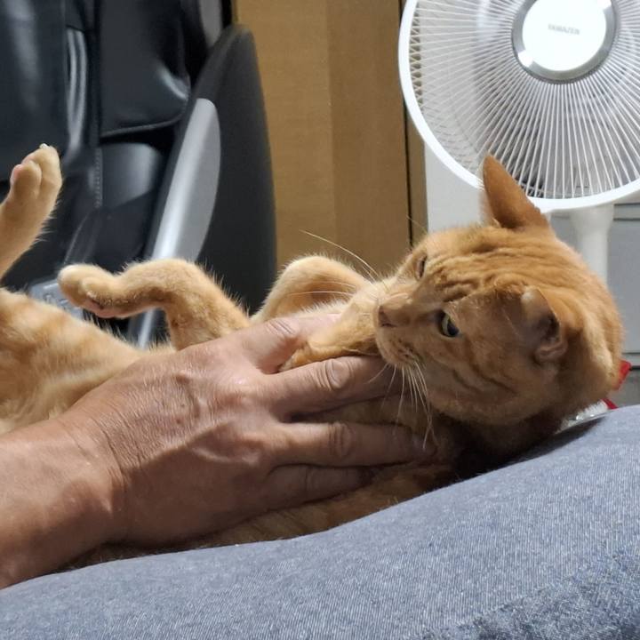 496d0b5e a811 4a4c ac97 fa070cbe21a0 1723683033550