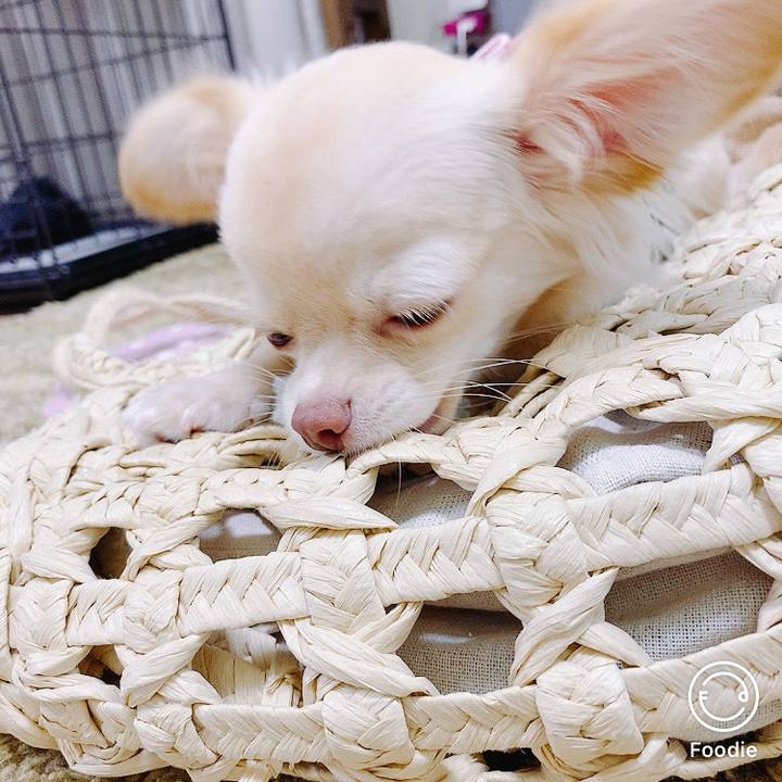 496d414e ab49 4aa1 bee9 fa66f4a377b3 1599271451206