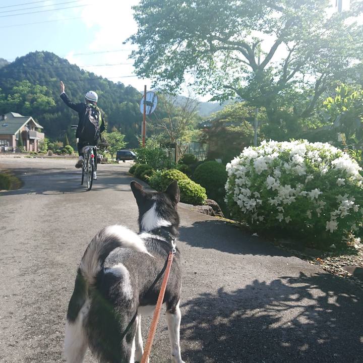 496d50d6 2cb4 44c5 be29 dc7548644095 1589198105604