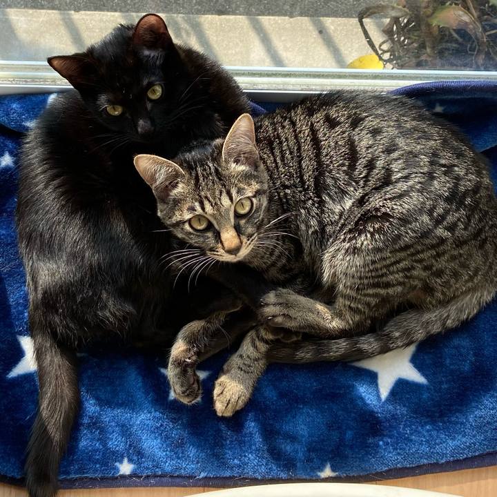 496d7bf2 80e2 4954 9372 d95eca28a283 1615709955064