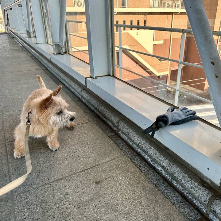 496d98db f1cf 4edf 9fcc d3145d9b5577 1710979125713