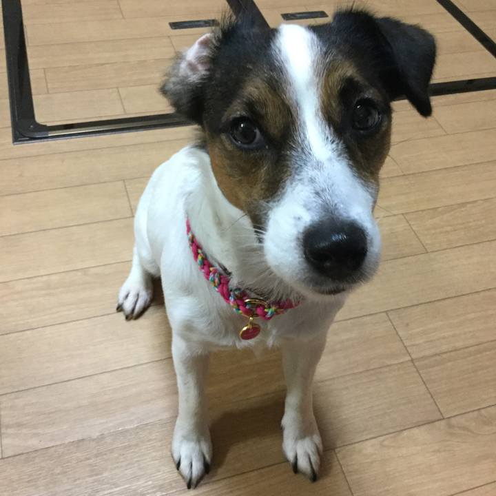 496dacb4 947f 4016 858e efa60d3478c9 1510480798123