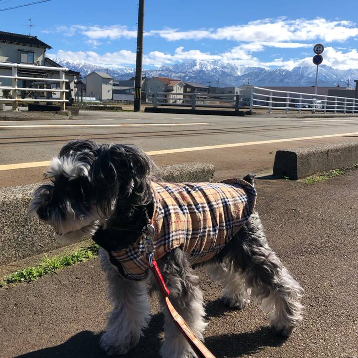 496db7d2 889d 42f8 8e0d b38bb7b40295 1708261110901