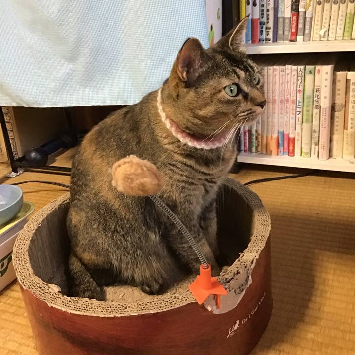 496dd94e cca8 490e b9e6 10ff3e761289 1695801902538