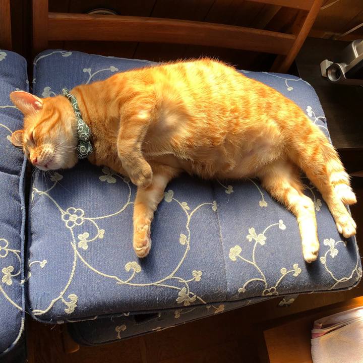 496dda4b 646c 4920 bf3b 7f452d5cad57 1556438149055