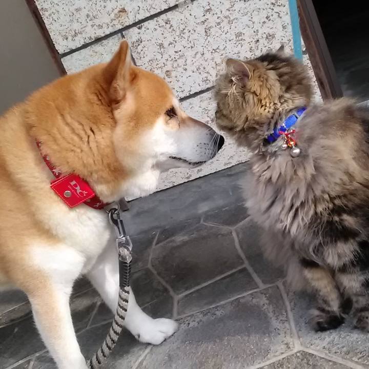 496e1e5c 02b9 43a7 ac1c e01cff2861be 1625009292991