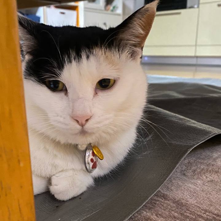 496e44ab 0c57 42d6 bd1d 396a05ece6ff 1647204208319