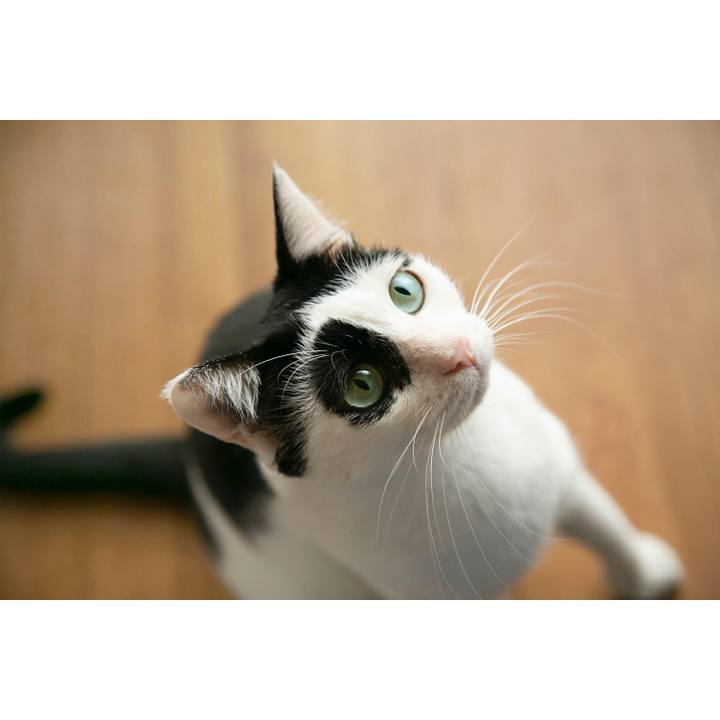 496e5aa2 a695 4701 92dc 6e7cf3bea8e6 1573464988382