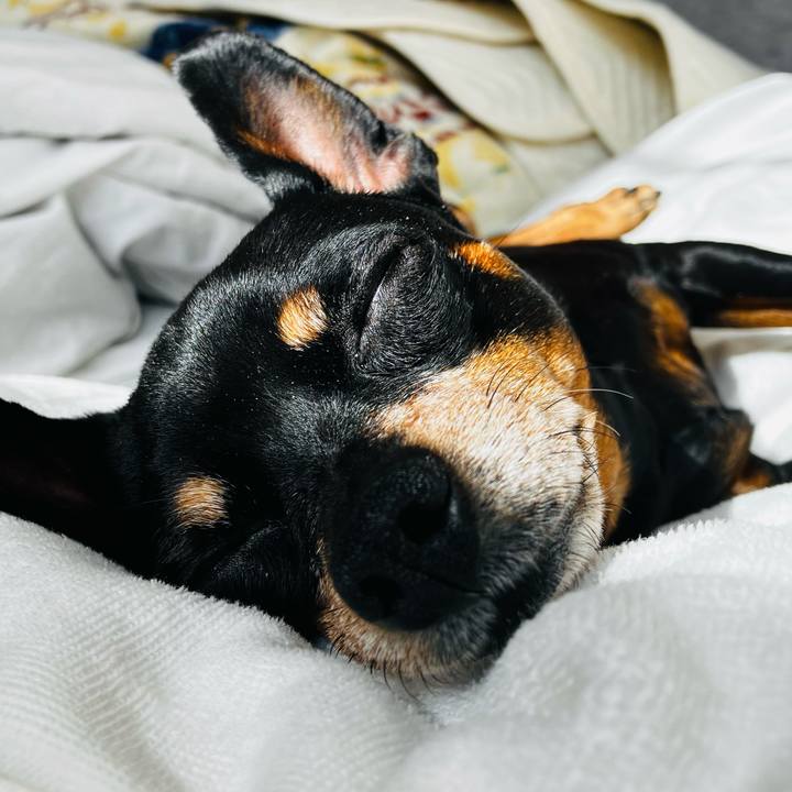 496e5ed3 2b52 41ee ad9b 9944373d3dee 1773092215242