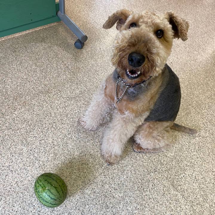 496e748f f691 44c4 83ef 35268c47a192 1595481978083